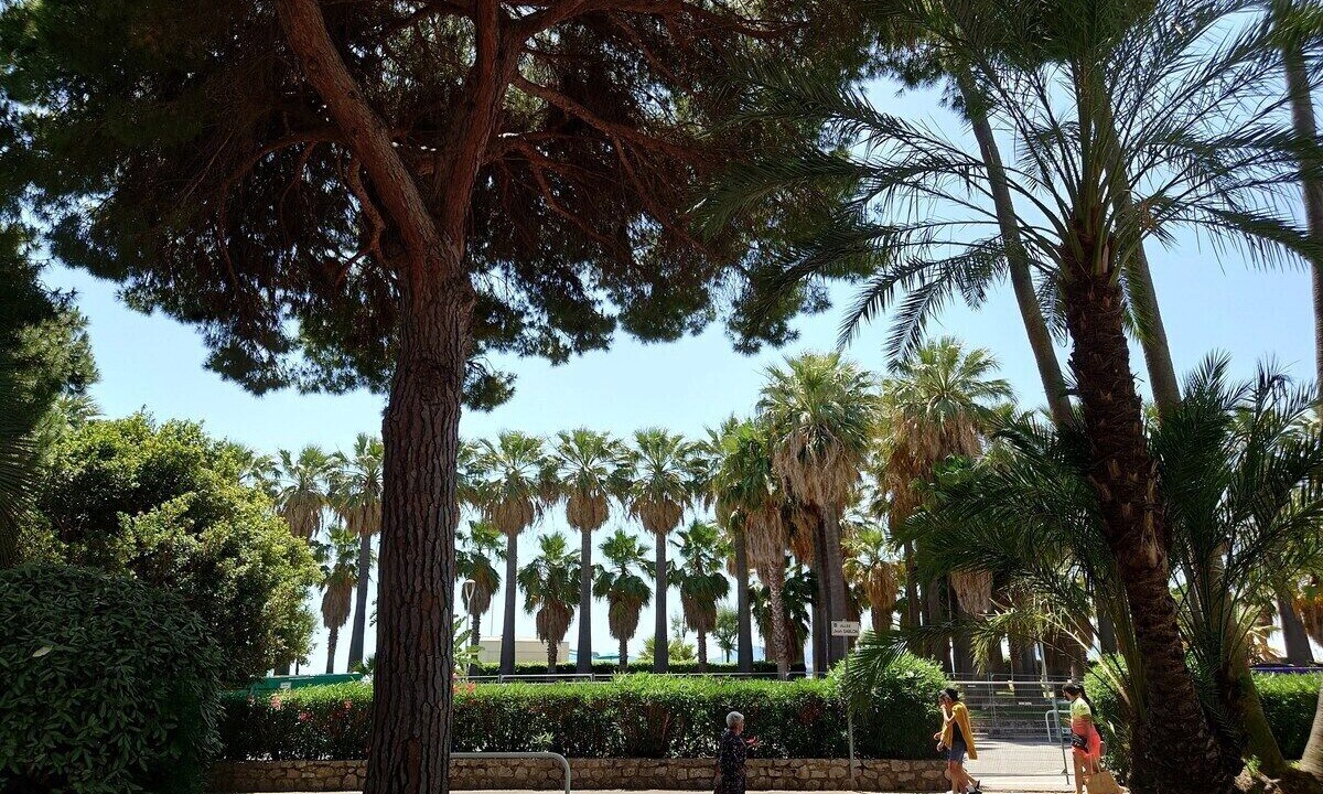 Photo of Outdoor in Pointe Croisette