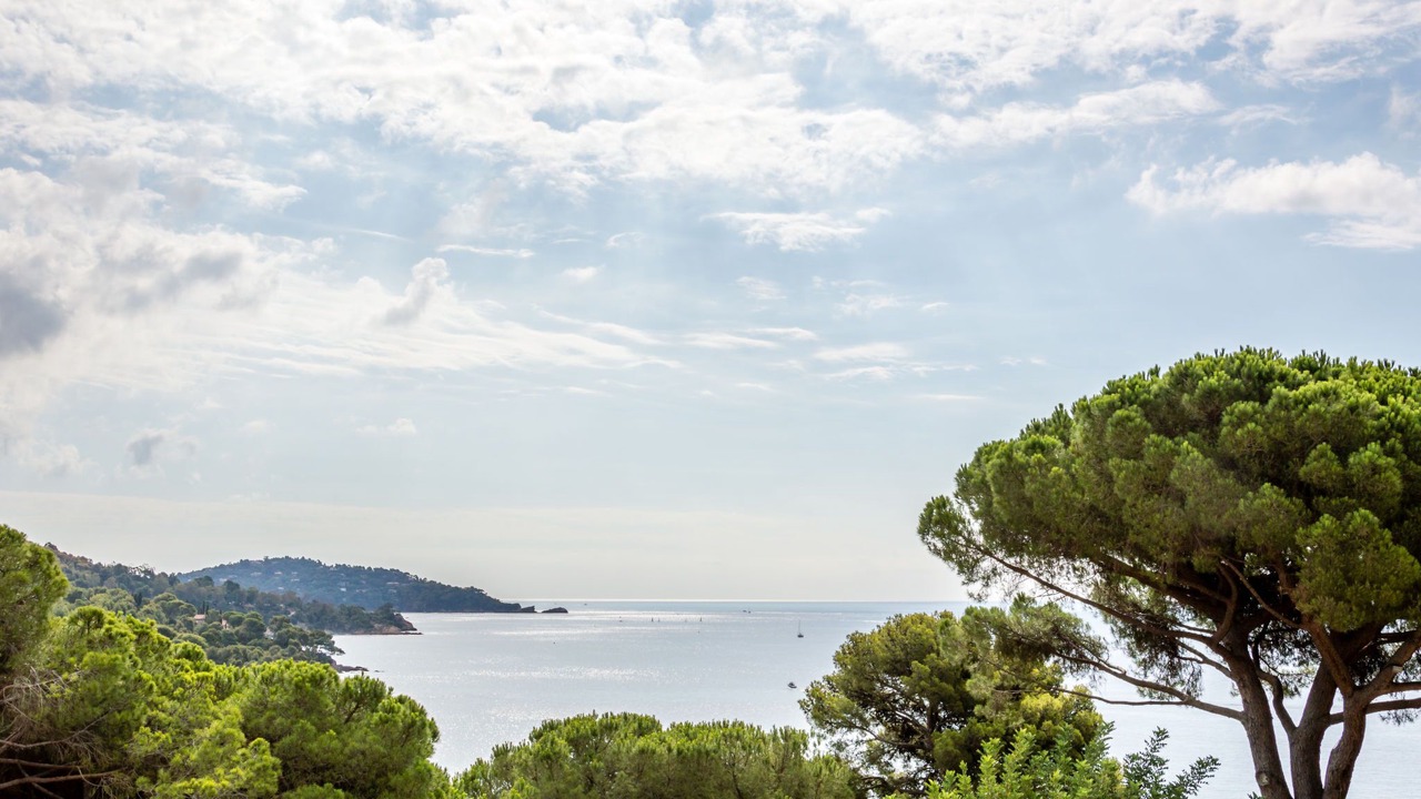 Photo of Others in Rayol-Canadel-sur-Mer