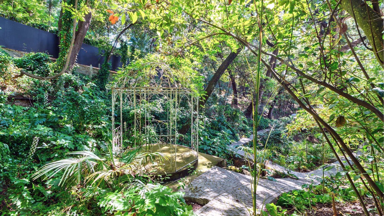 Photo of Outdoor in California - Pezou