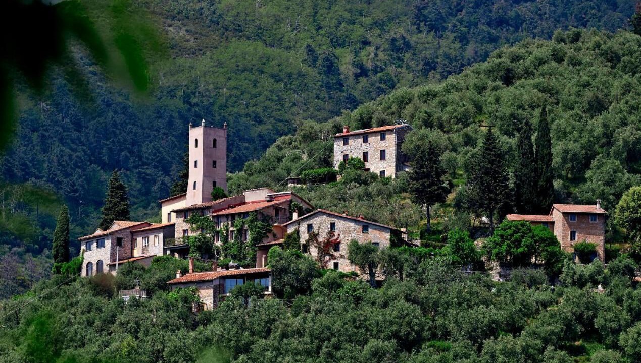 Photo of Outdoor in Camaiore