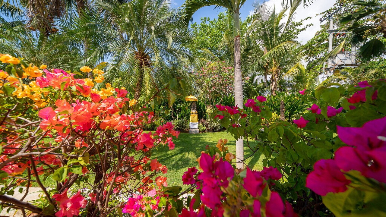 Photo of Outdoor in Tigawasa