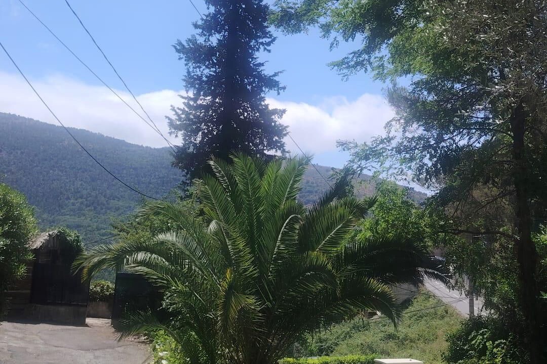 Photo of Outdoor in Tourrette-Levens