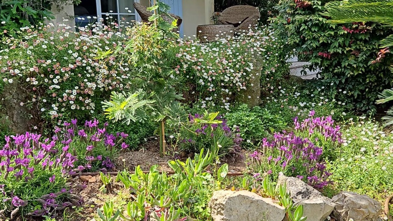 Photo of Outdoor in Cap-d'Antibes