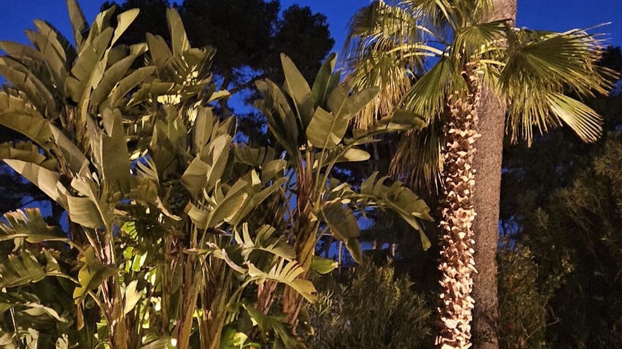 Photo of Outdoor in Cap-d'Antibes