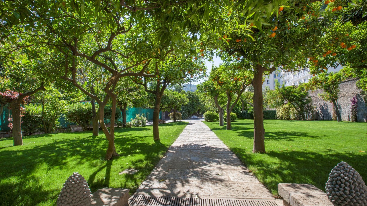 Photo of Outdoor in Sorrento Historic Centre