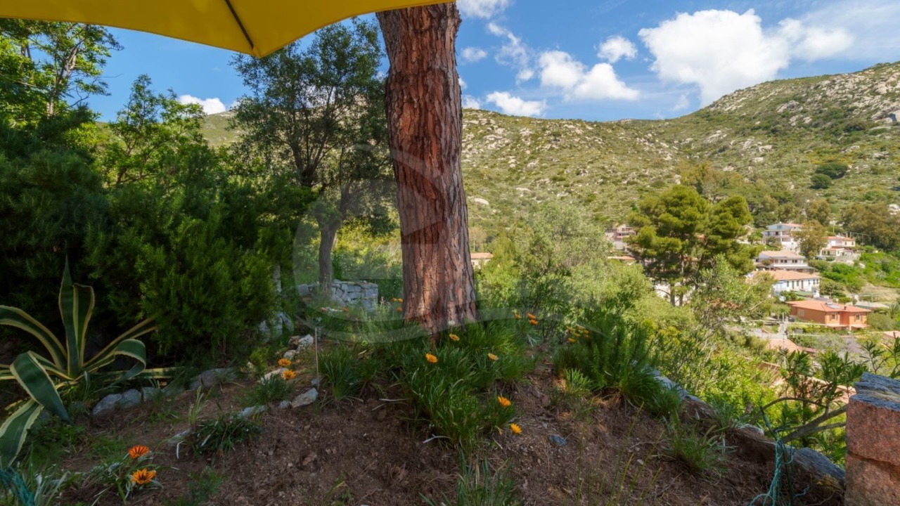 Photo of Outdoor in Fetovaia