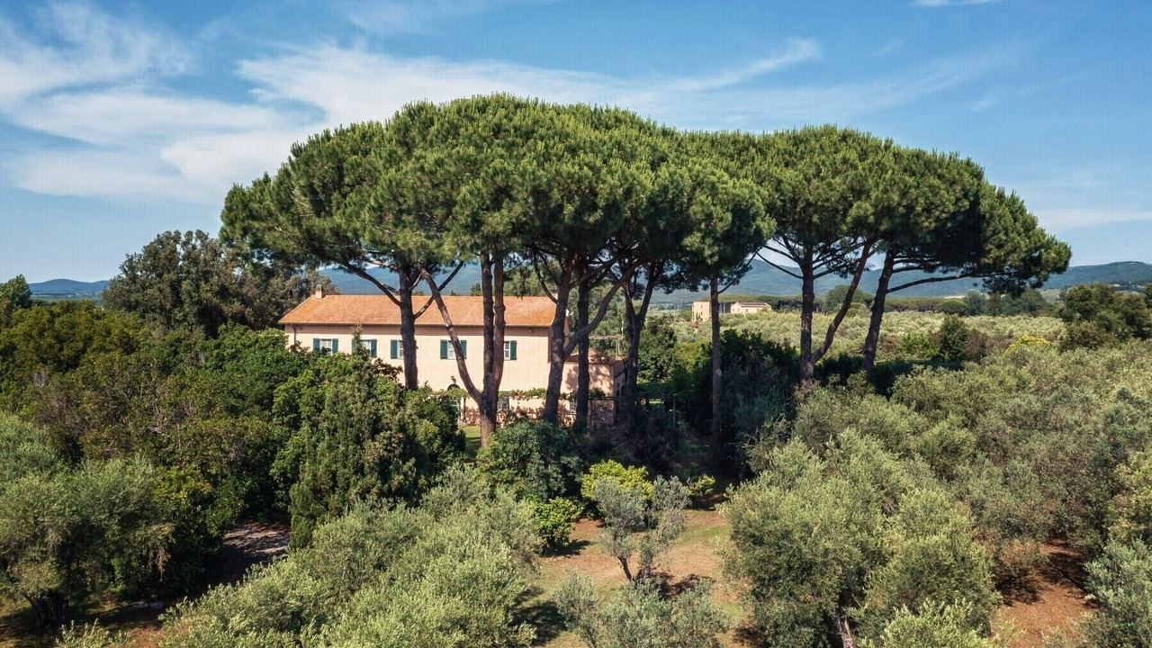 Photo of Outdoor in Donoratico