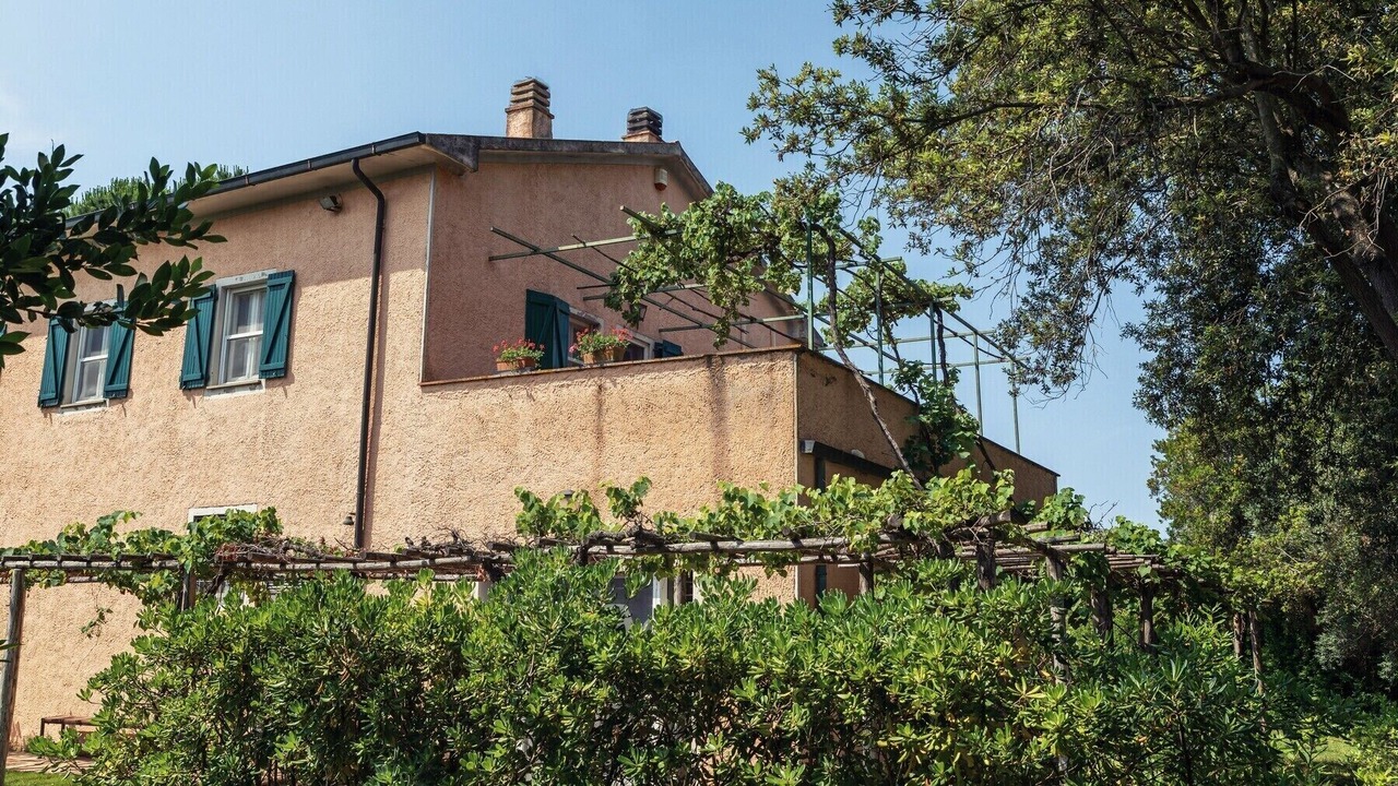 Photo of Outdoor in Donoratico