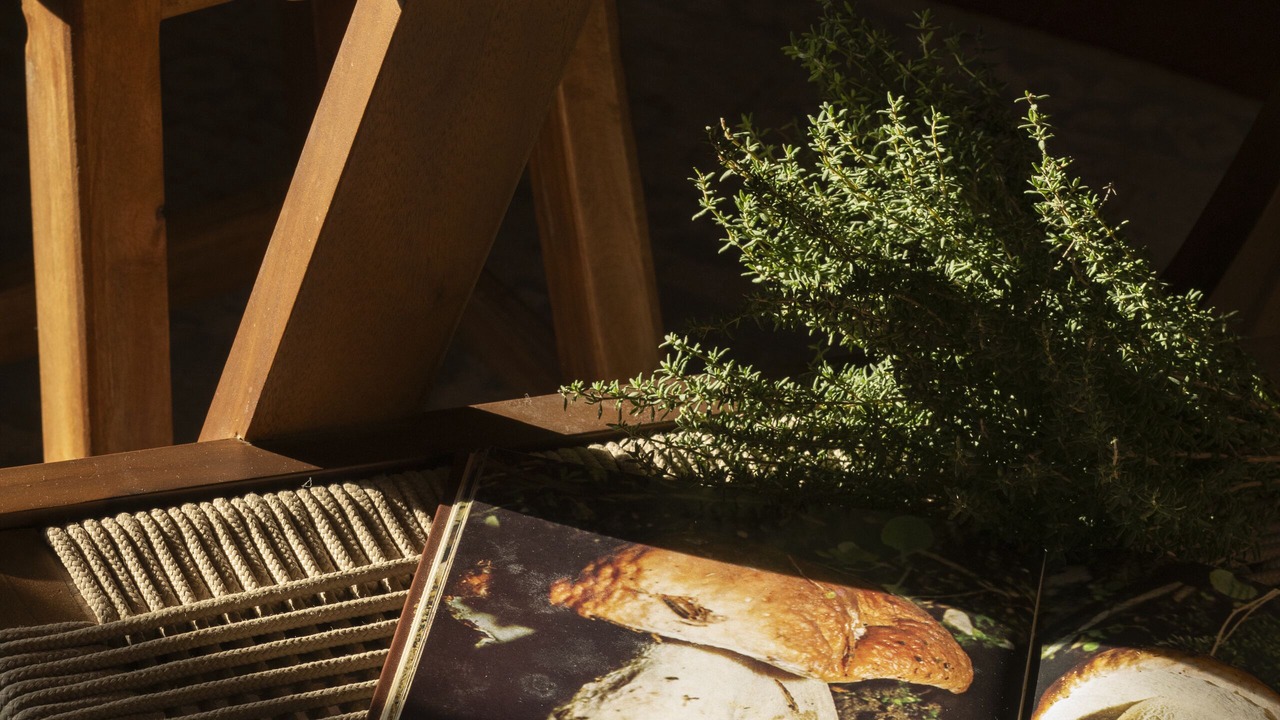 Photo of Outdoor in Arlia