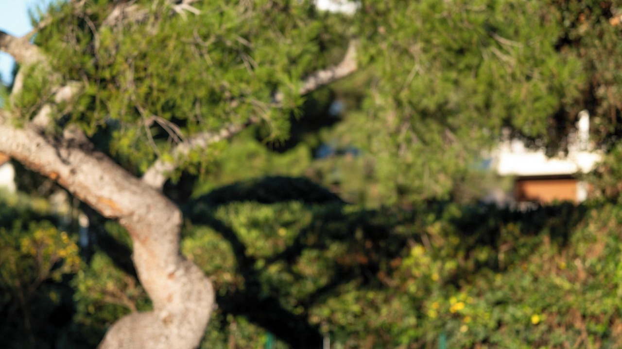 Photo of Outdoor in Cap-d'Antibes