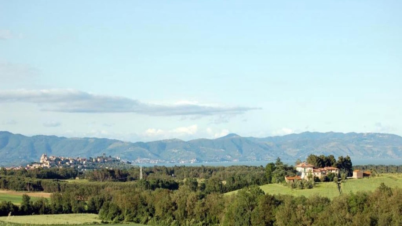 Photo of Others in Paciano