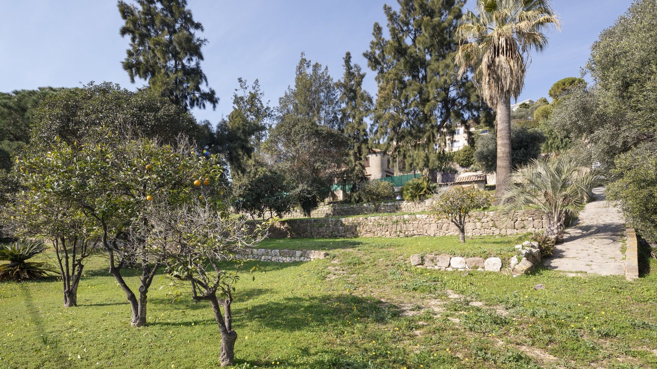 Photo of Outdoor in Vallauris
