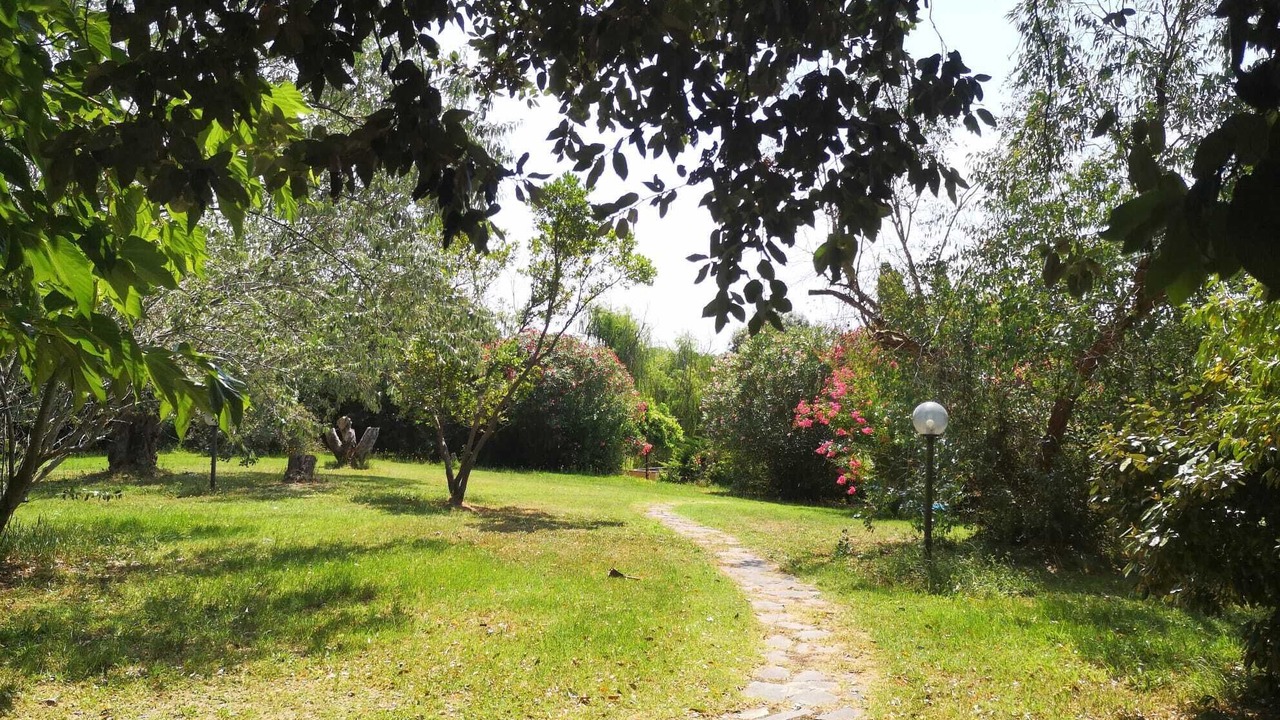 Photo of Outdoor in Fauglia