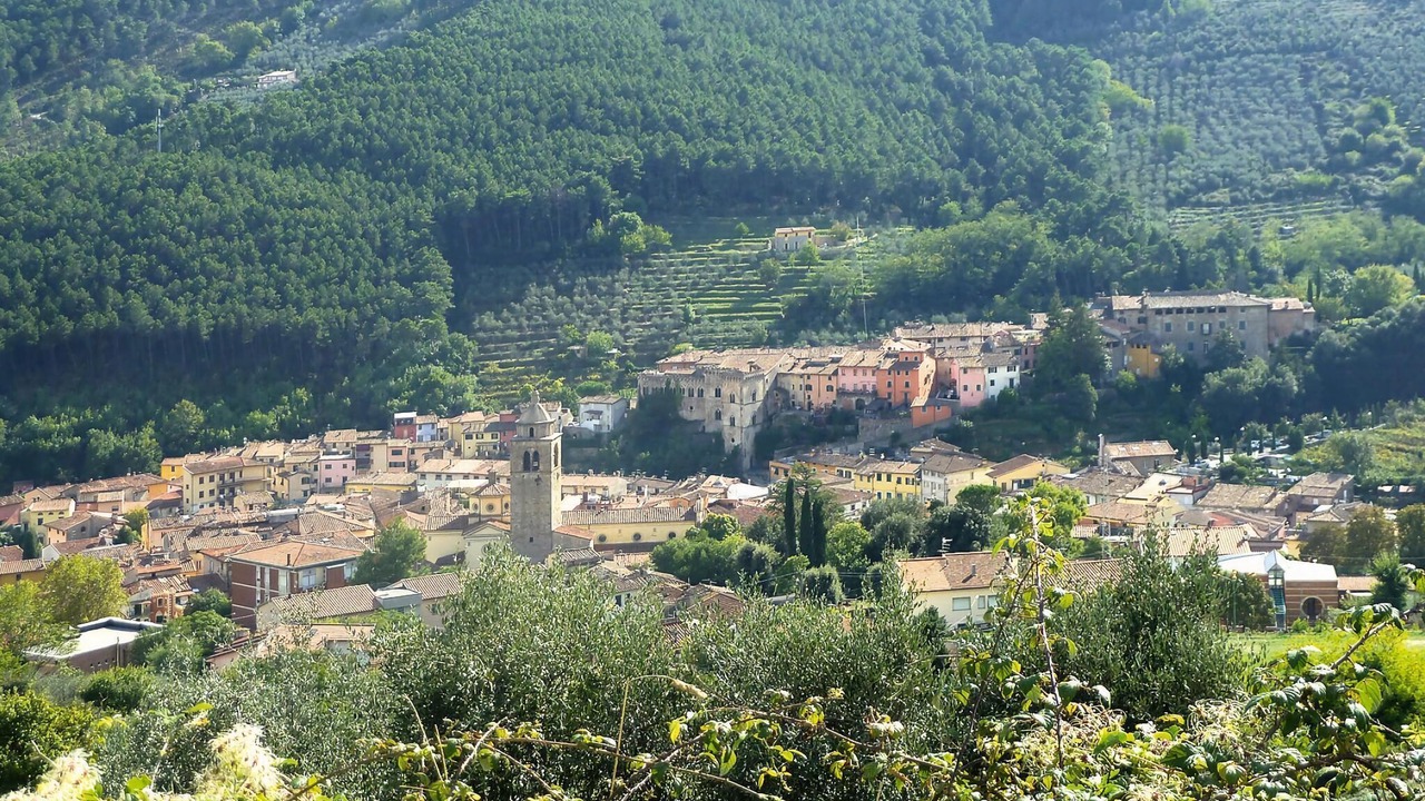 Photo of Others in Buti
