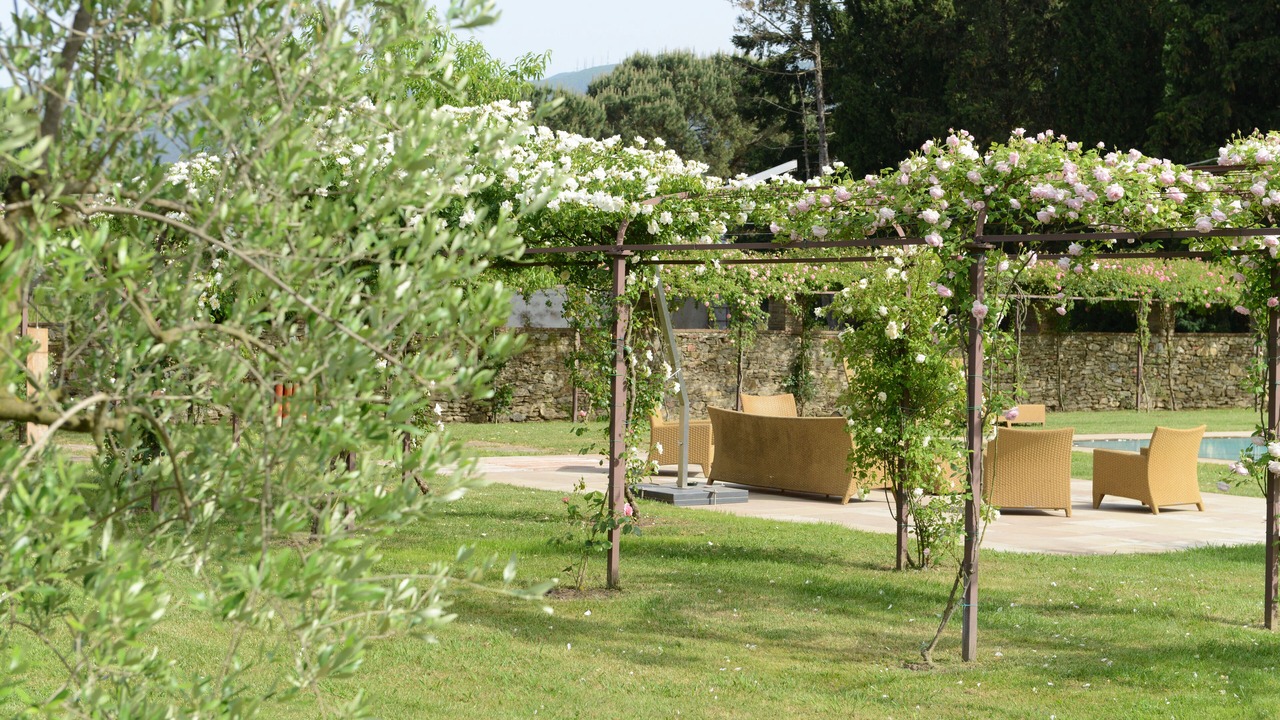 Photo of Outdoor in Vicopelago
