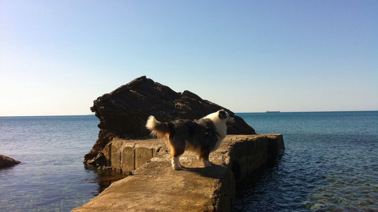 Photo of Others in Livorno