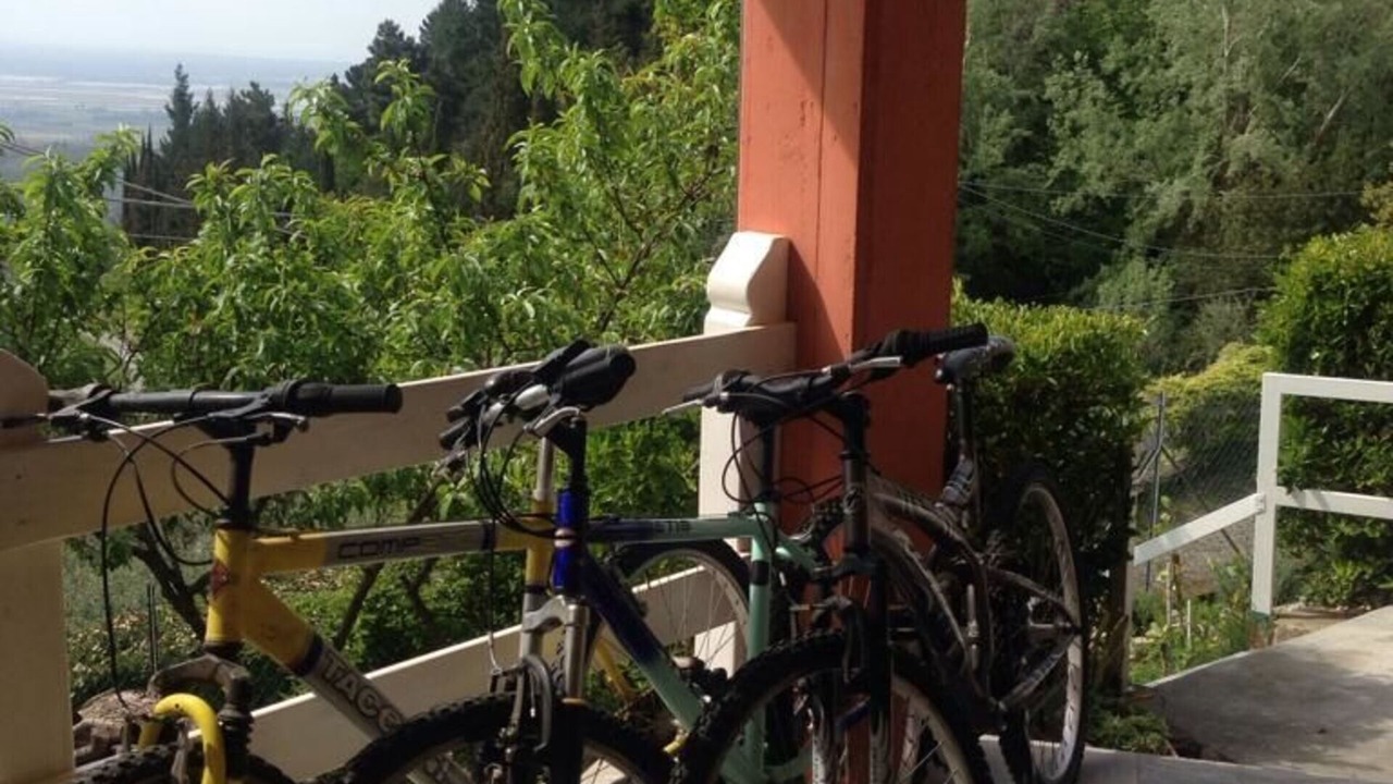 Photo of Outdoor in Massarosa