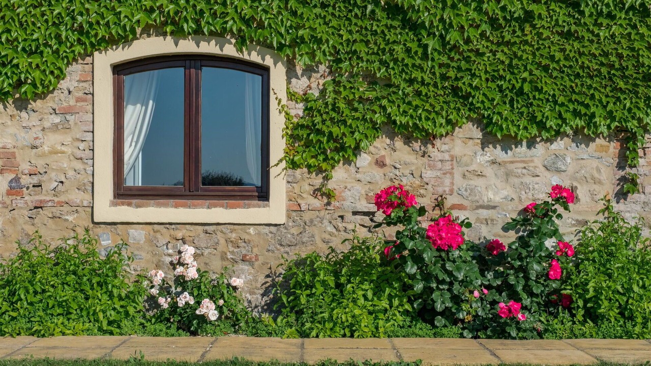 Photo of Outdoor in Castellina Marittima
