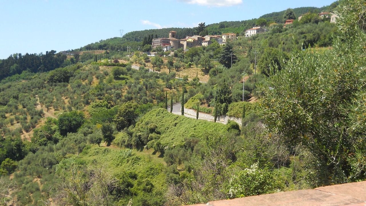 Photo of Outdoor in Petrognano