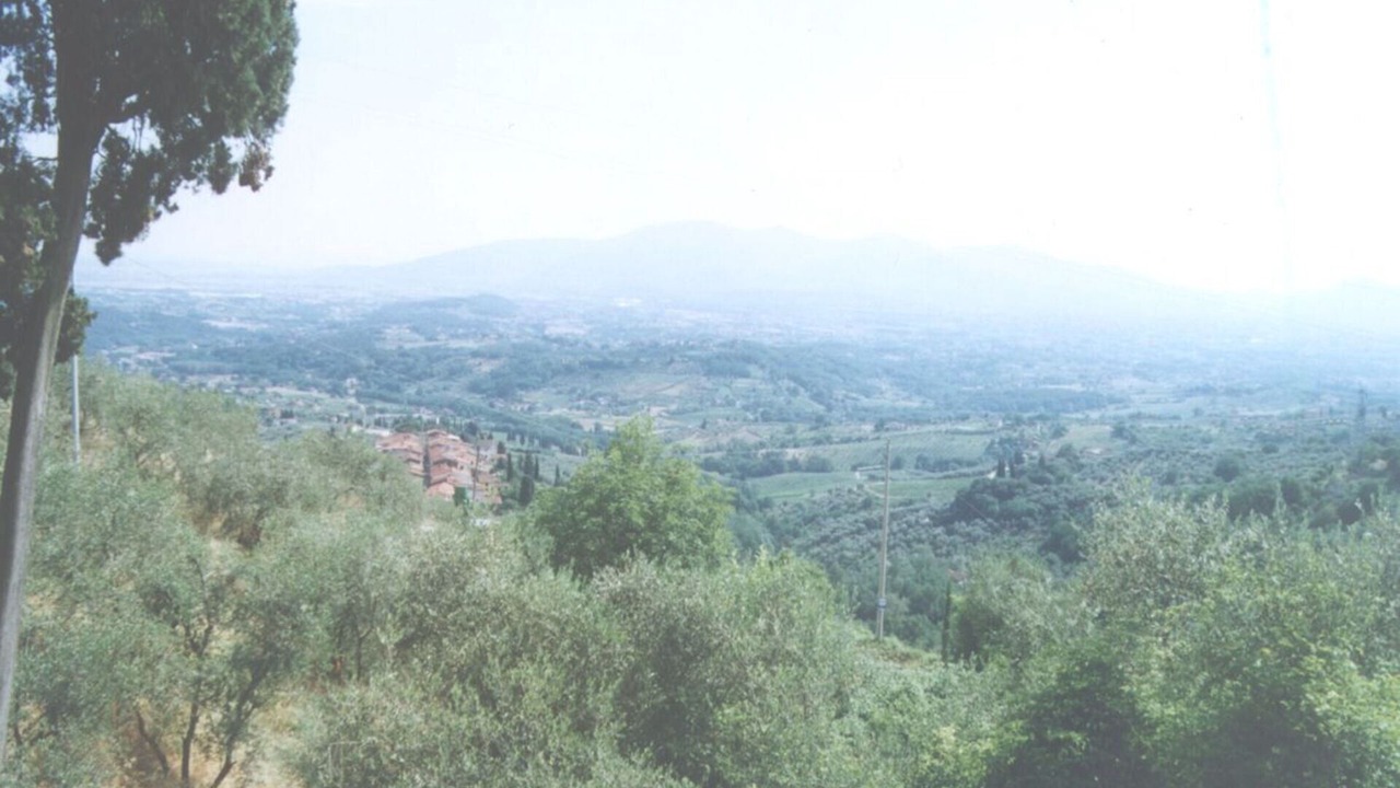 Photo of Others in Petrognano