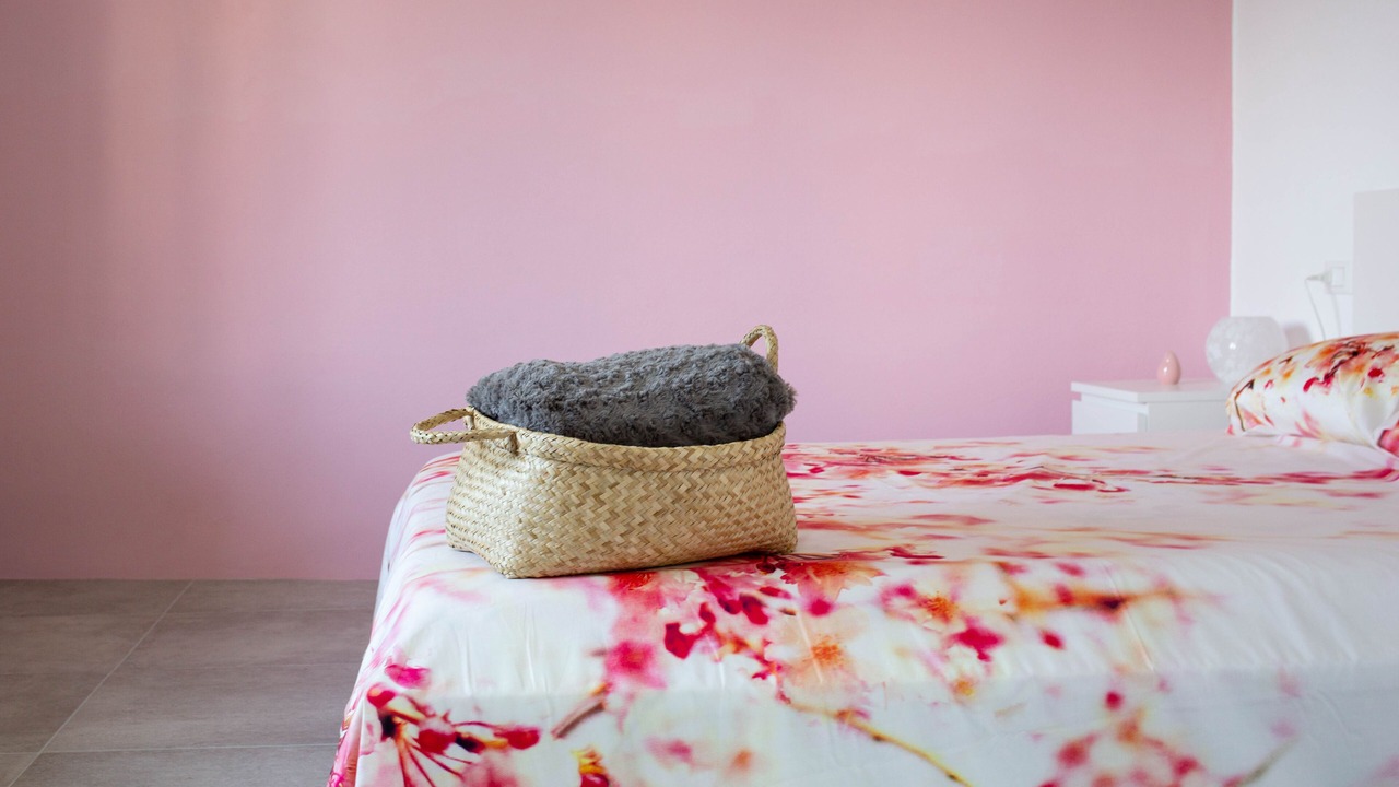 Photo of Bedroom in Maglietola