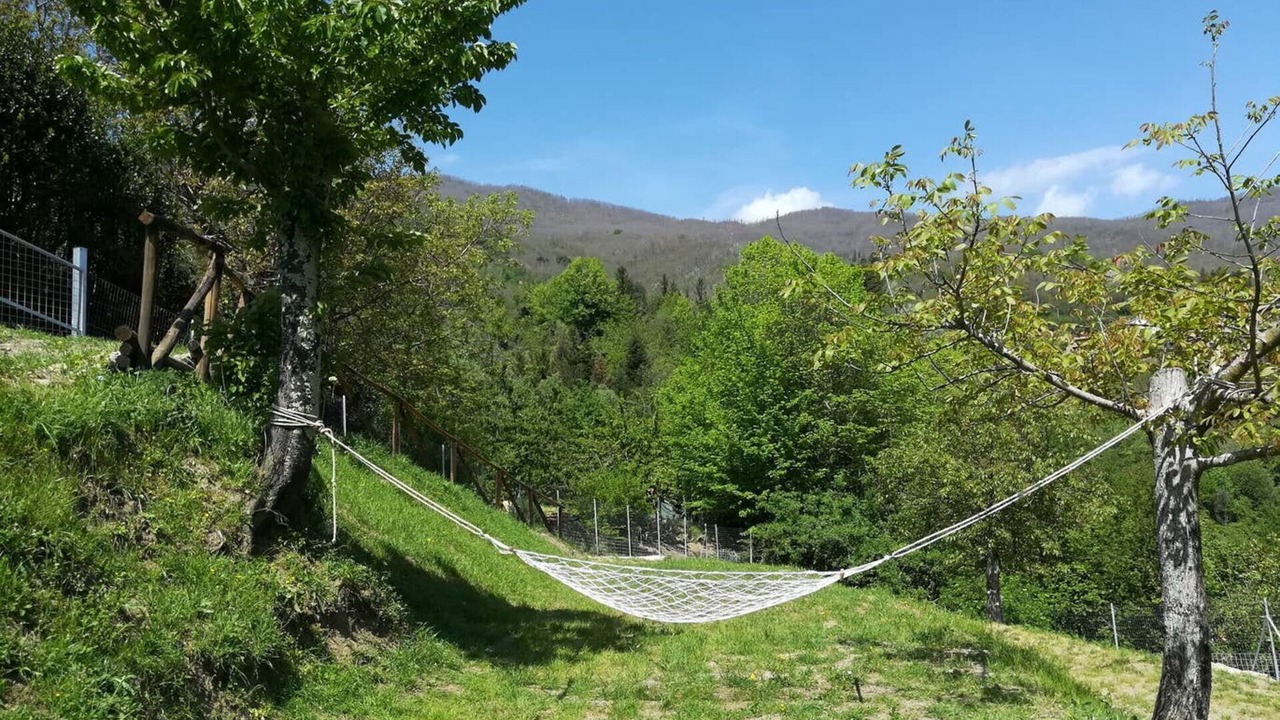 Photo of Outdoor in Castelvecchio
