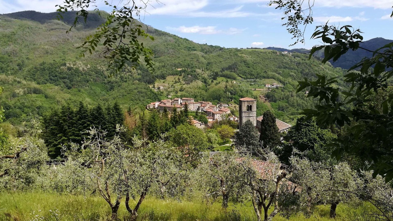 Photo of Others in Castelvecchio