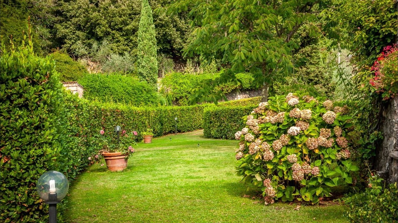 Photo of Outdoor in Castello
