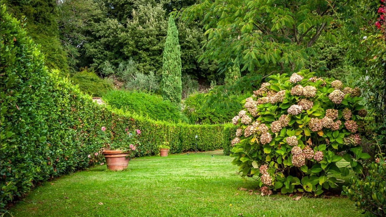 Photo of Outdoor in Castello