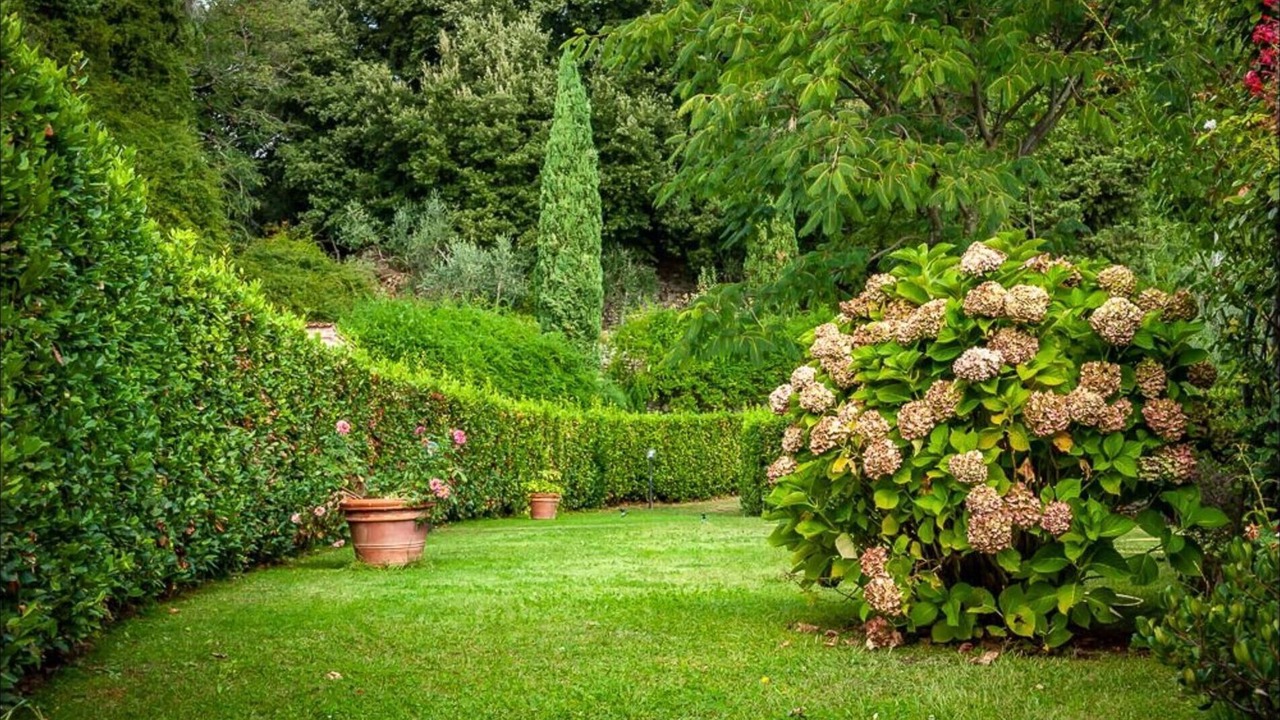 Photo of Outdoor in Castello