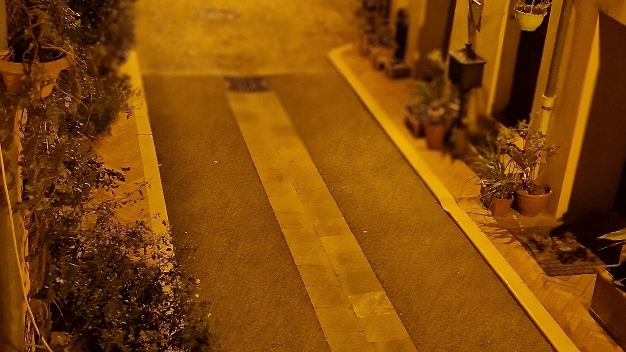 Photo of Outdoor in Mougins