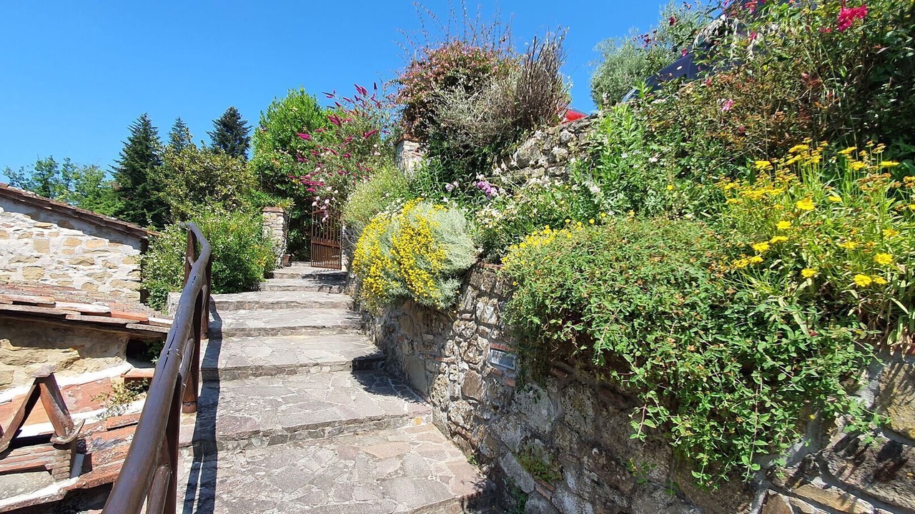 Photo of Outdoor in Petrognano