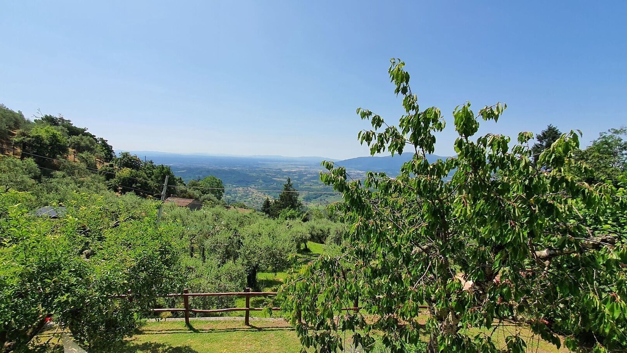 Photo of Others in Petrognano