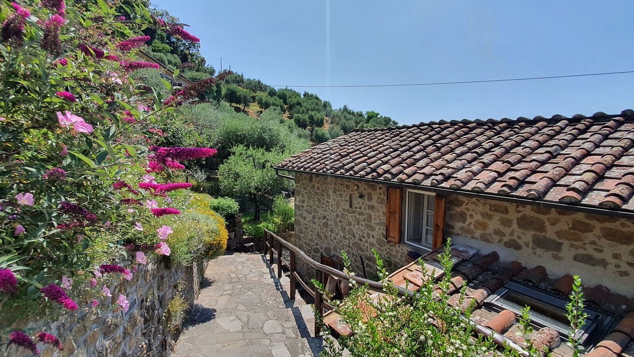 Photo of Outdoor in Petrognano