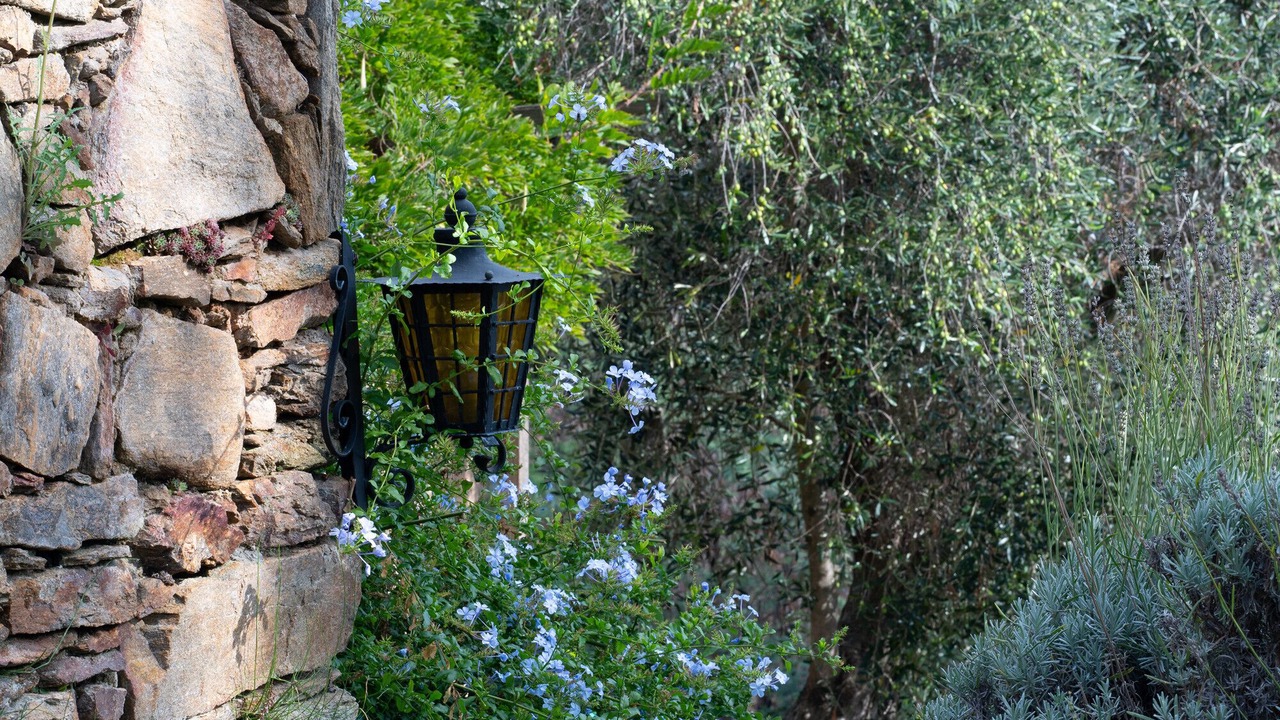 Photo of Outdoor in Tanneron