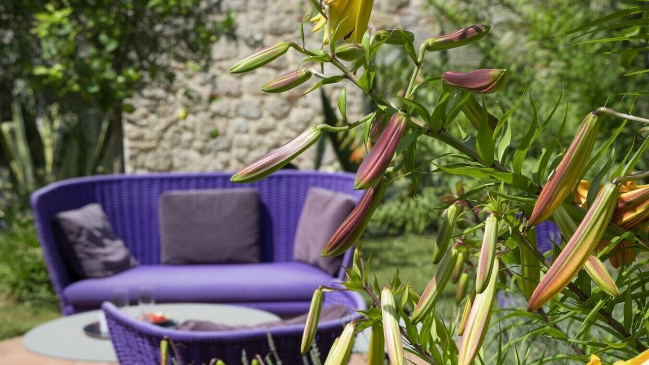 Photo of Outdoor in Monteggiori