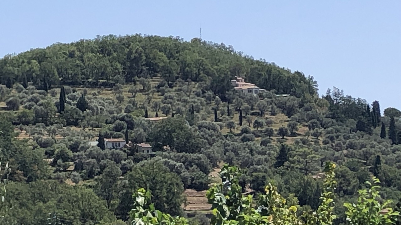 Photo of Others in Grasse