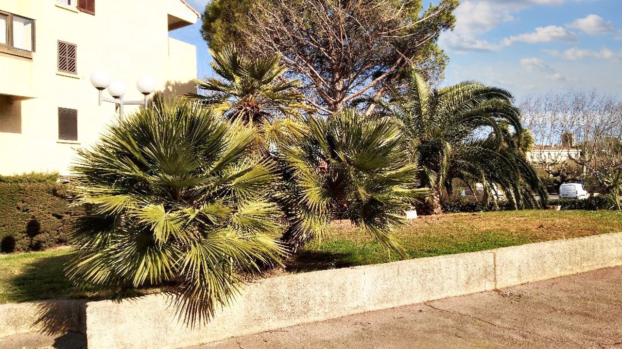 Photo of Others in Frejus
