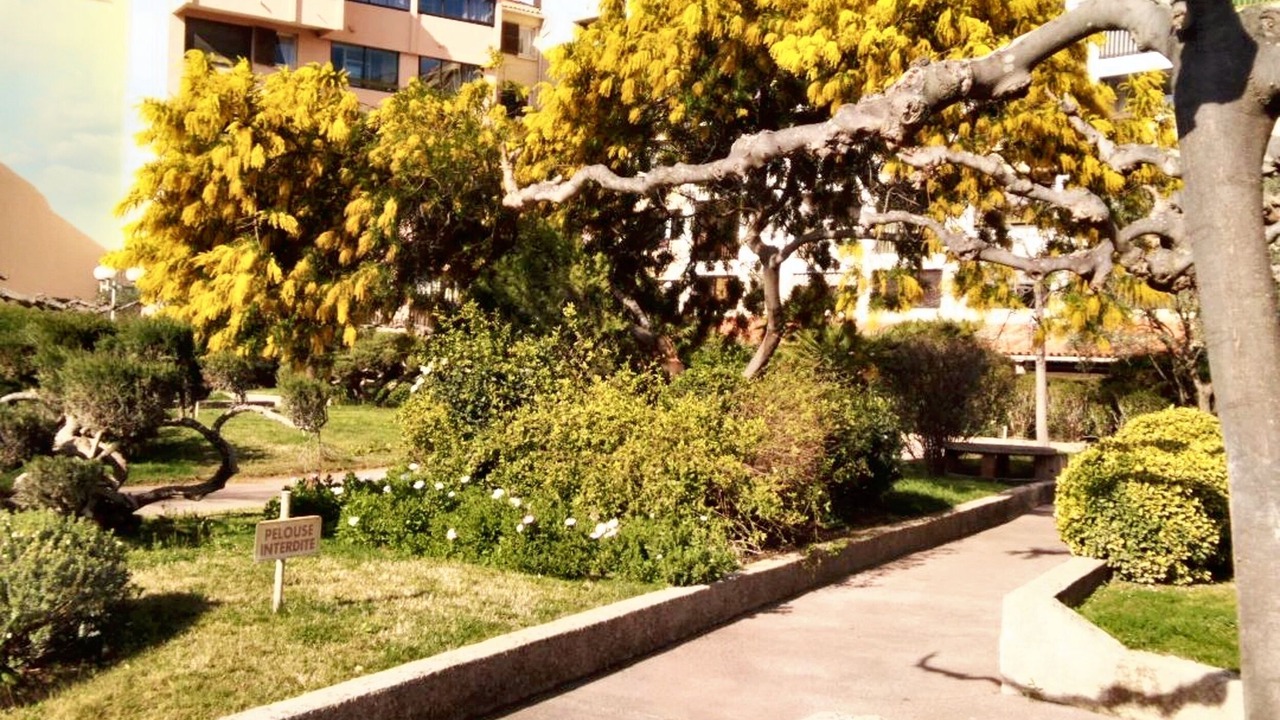 Photo of Others in Frejus