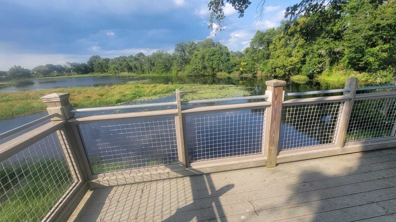 Photo of Outdoor in Meadow Woods