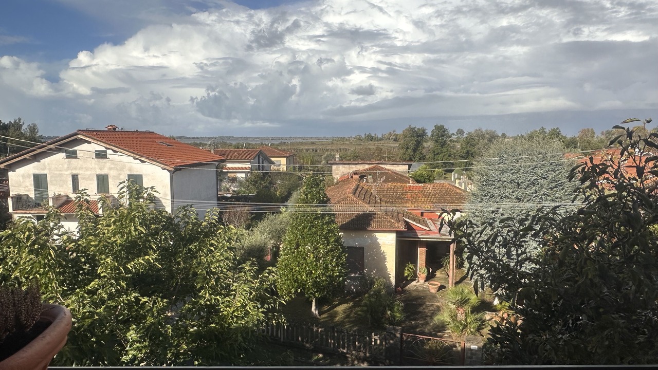 Photo of Outdoor in Massaciuccoli