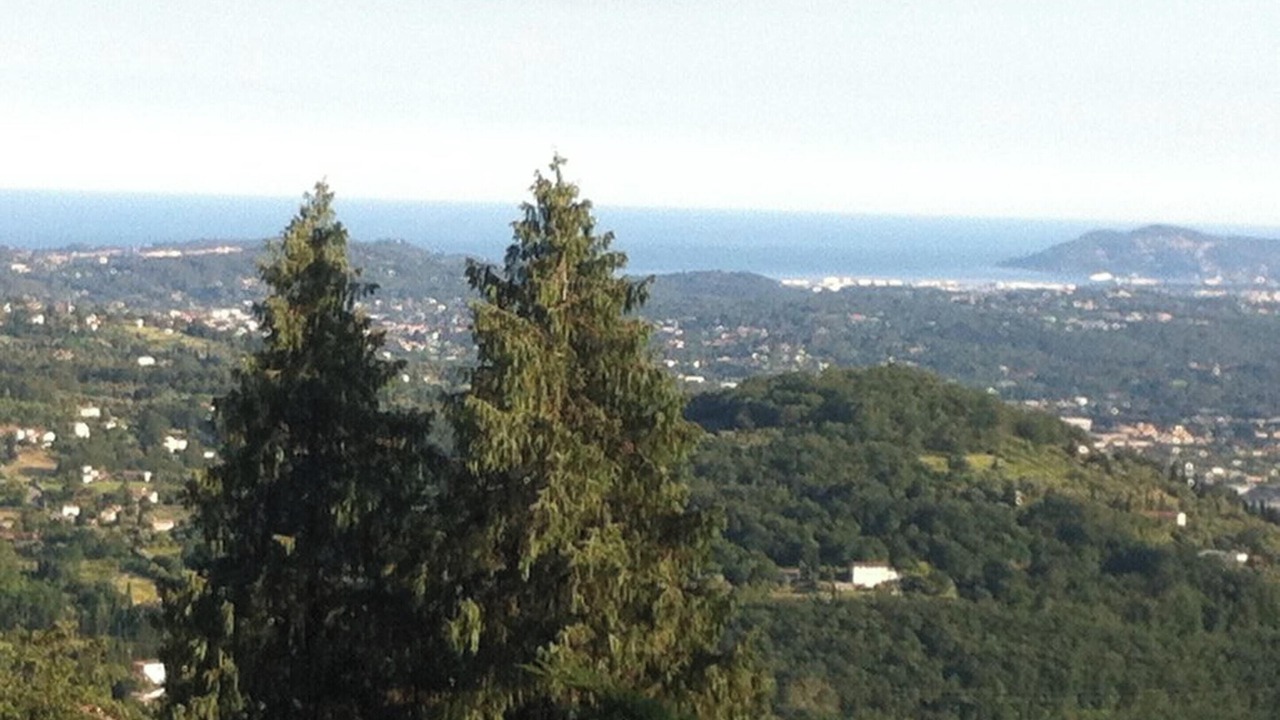 Photo of Others in Chateauneuf-Grasse