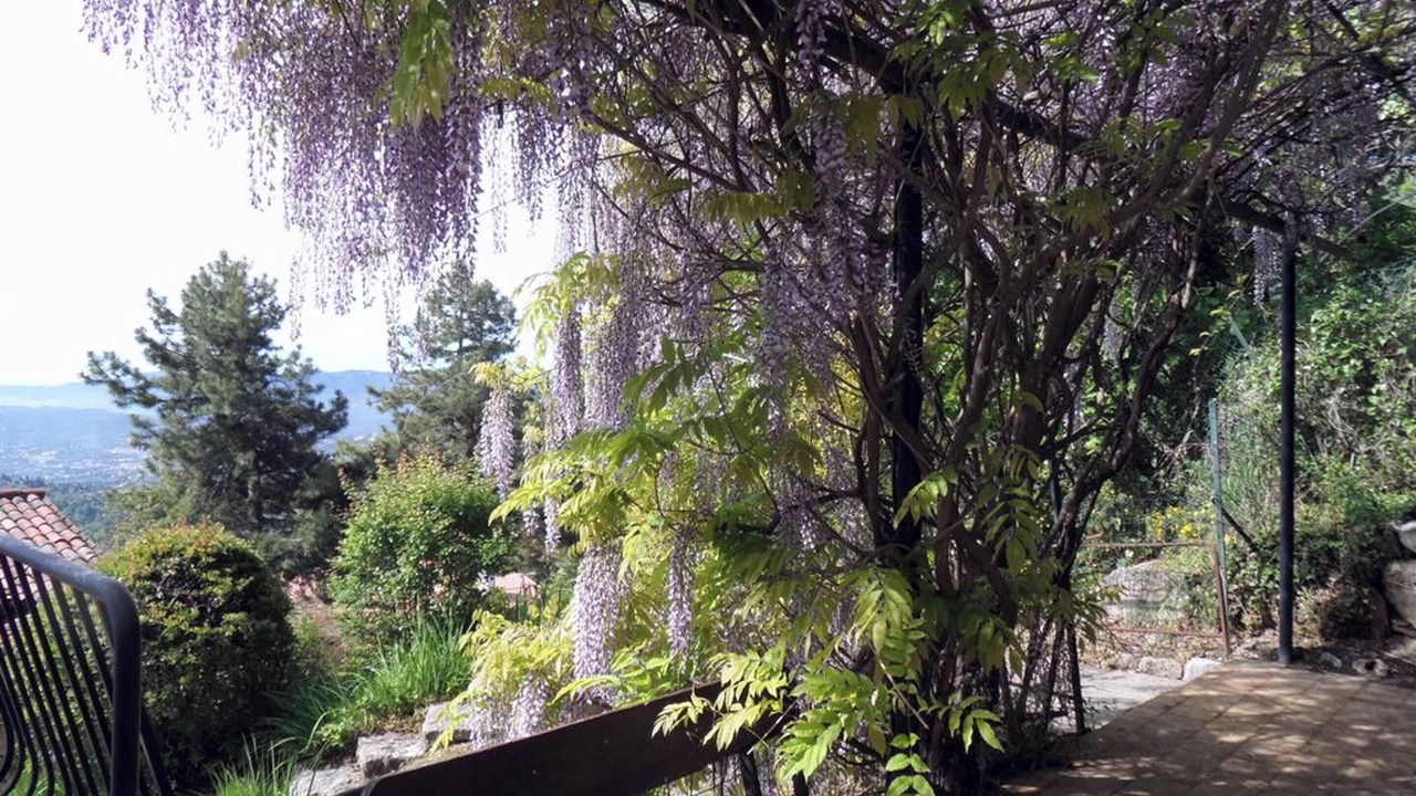 Photo of Patio Balcony in Chateauneuf-Grasse