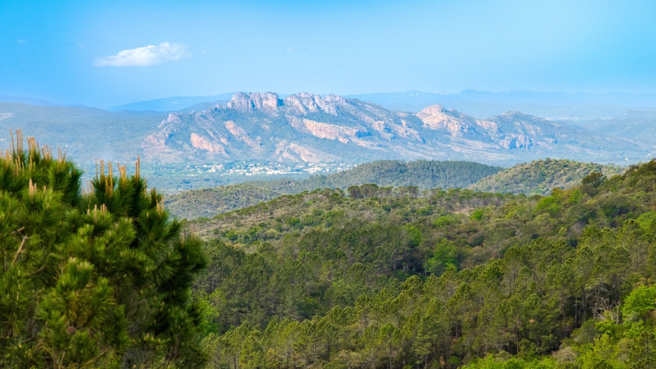 Photo of Others in Les Adrets-de-l'Esterel
