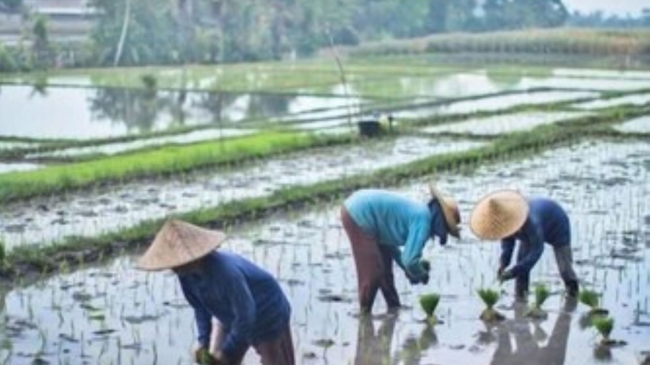 Photo of Outdoor in Tabanan