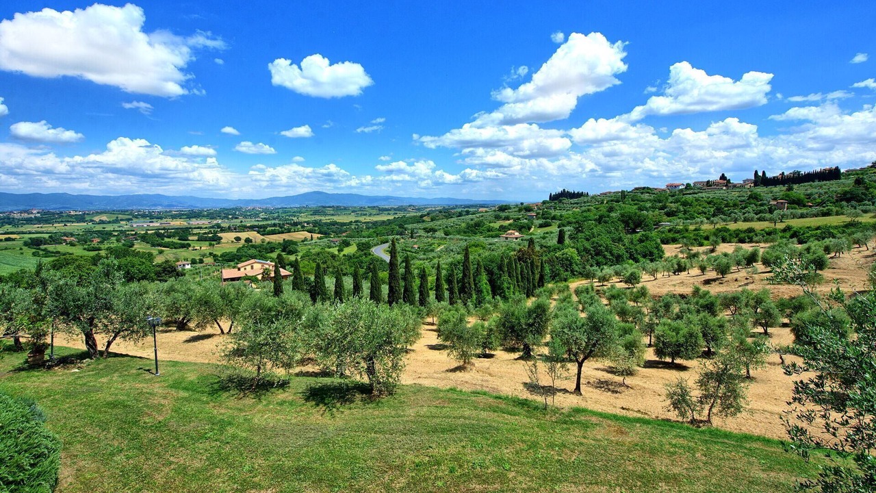 Photo of Outdoor in Lucignano
