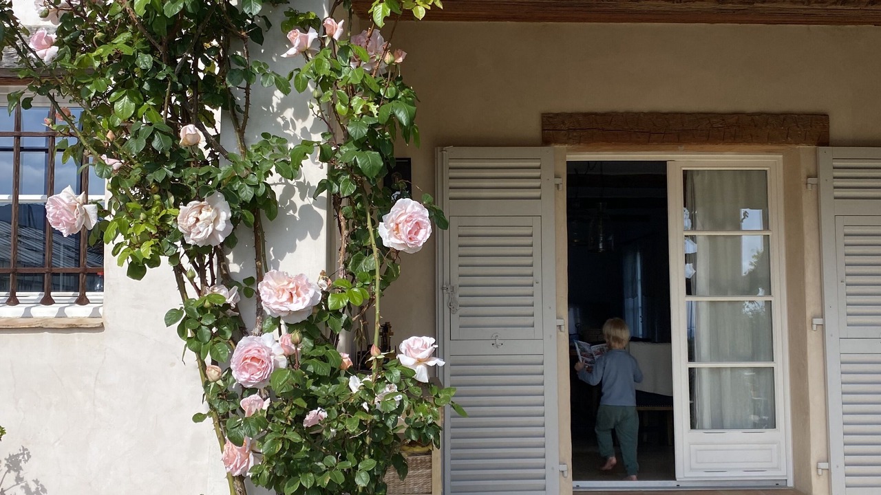 Photo of Outdoor in Saint-Jeannet
