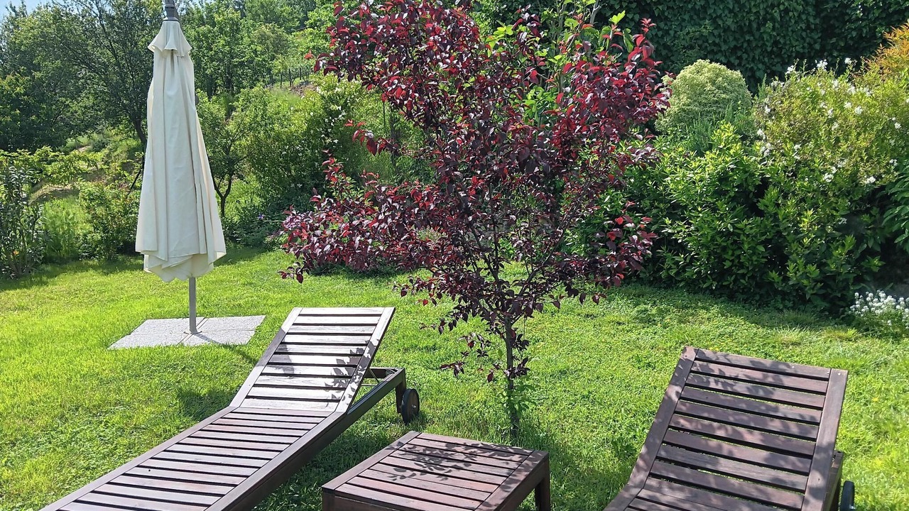 Photo of Outdoor in Licciana Nardi