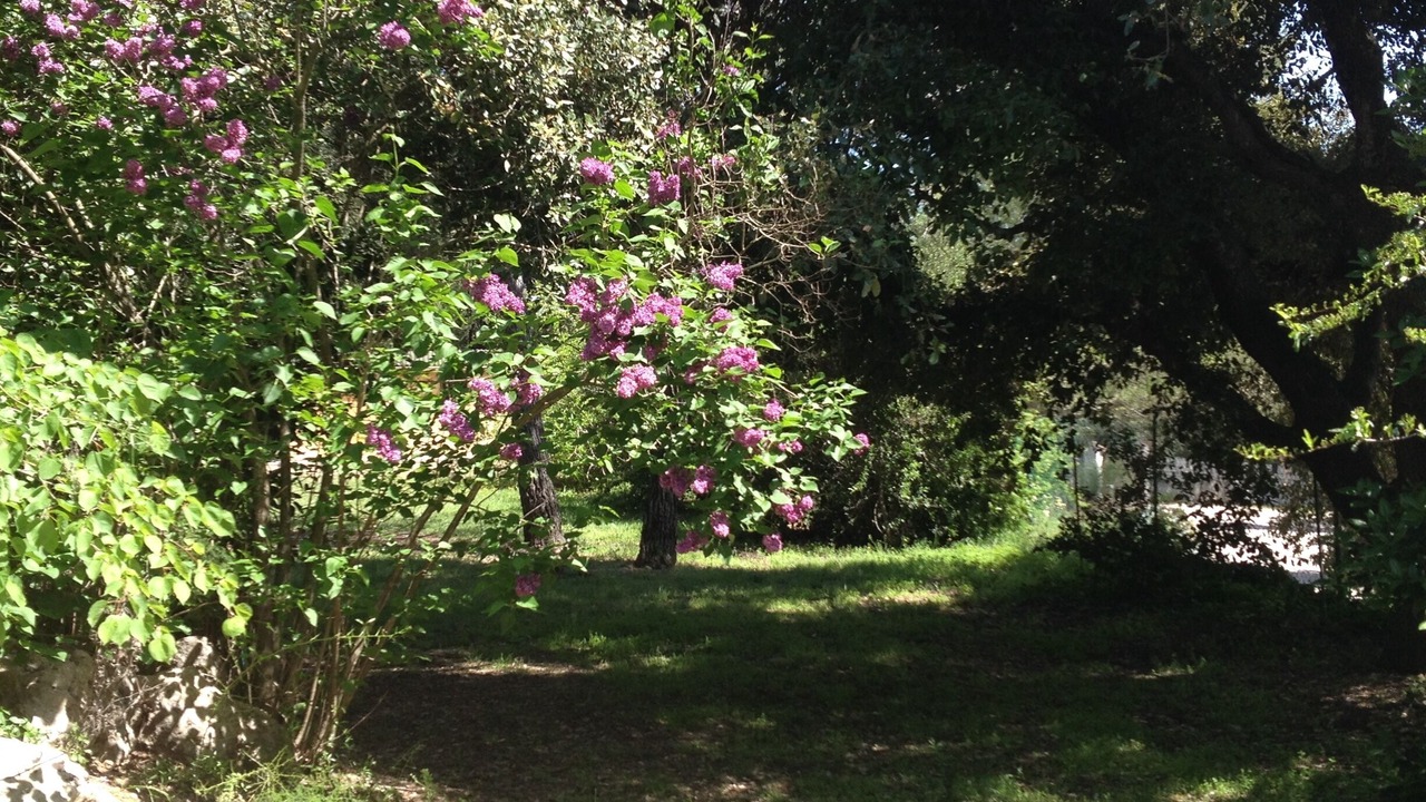 Photo of Outdoor in Bagnols-en-Foret