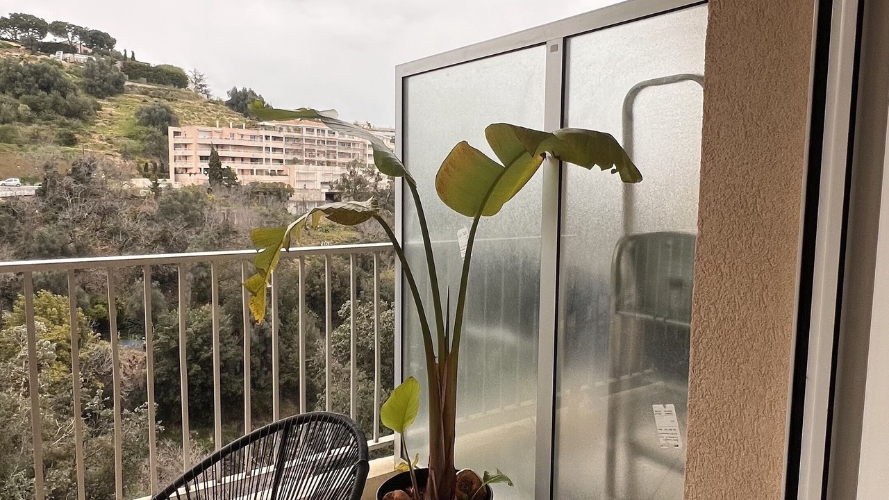 Photo of Patio Balcony in Saint Antoine